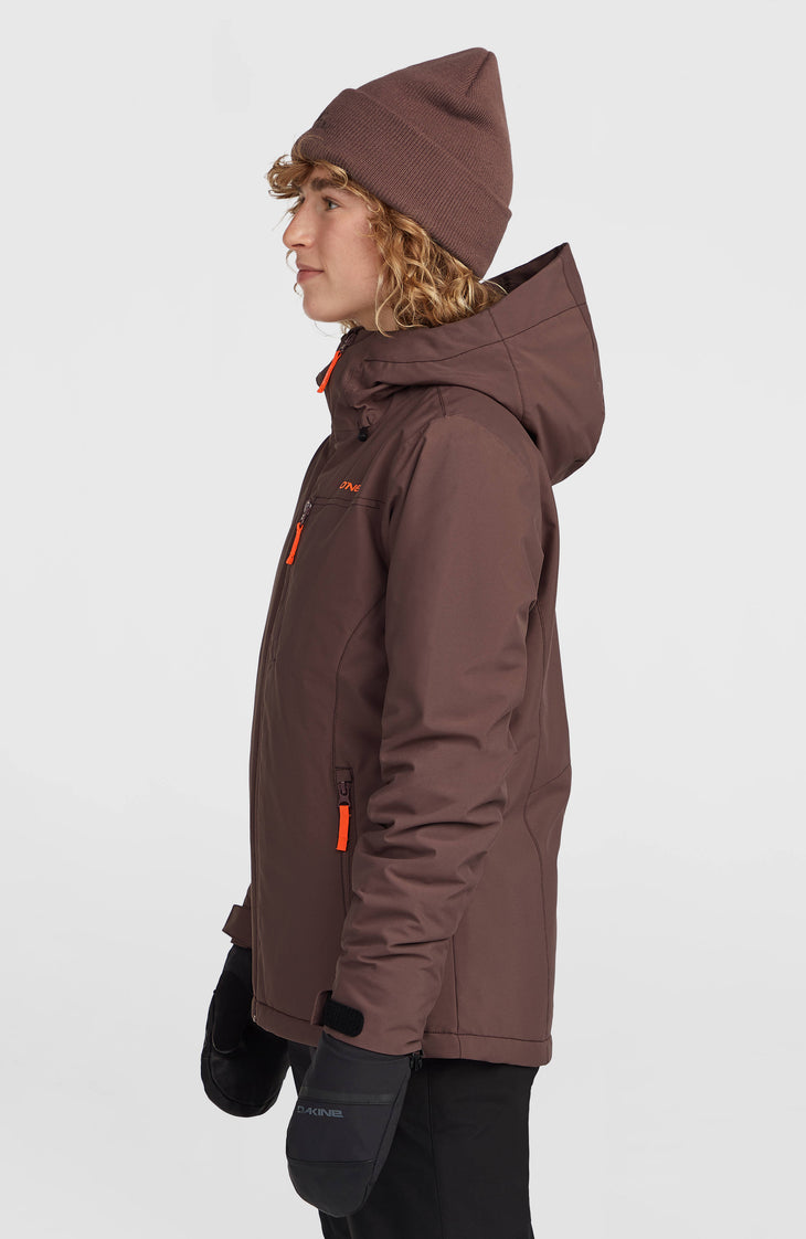Veste de ski FWC'Cruz | Purple Gray