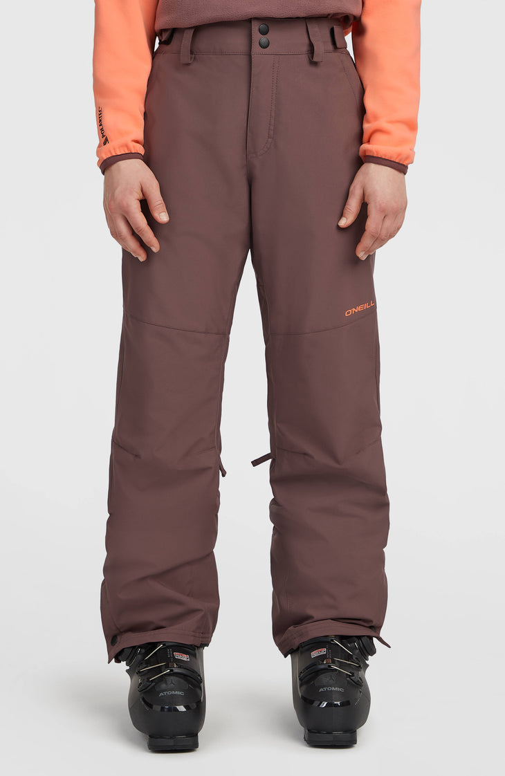 Pantalon de ski FWC'Cruz Regular | Purple Gray