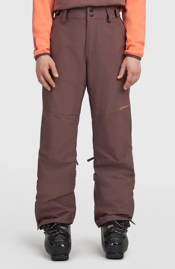 Pantalon de ski FWC'Cruz Regular | Purple Gray