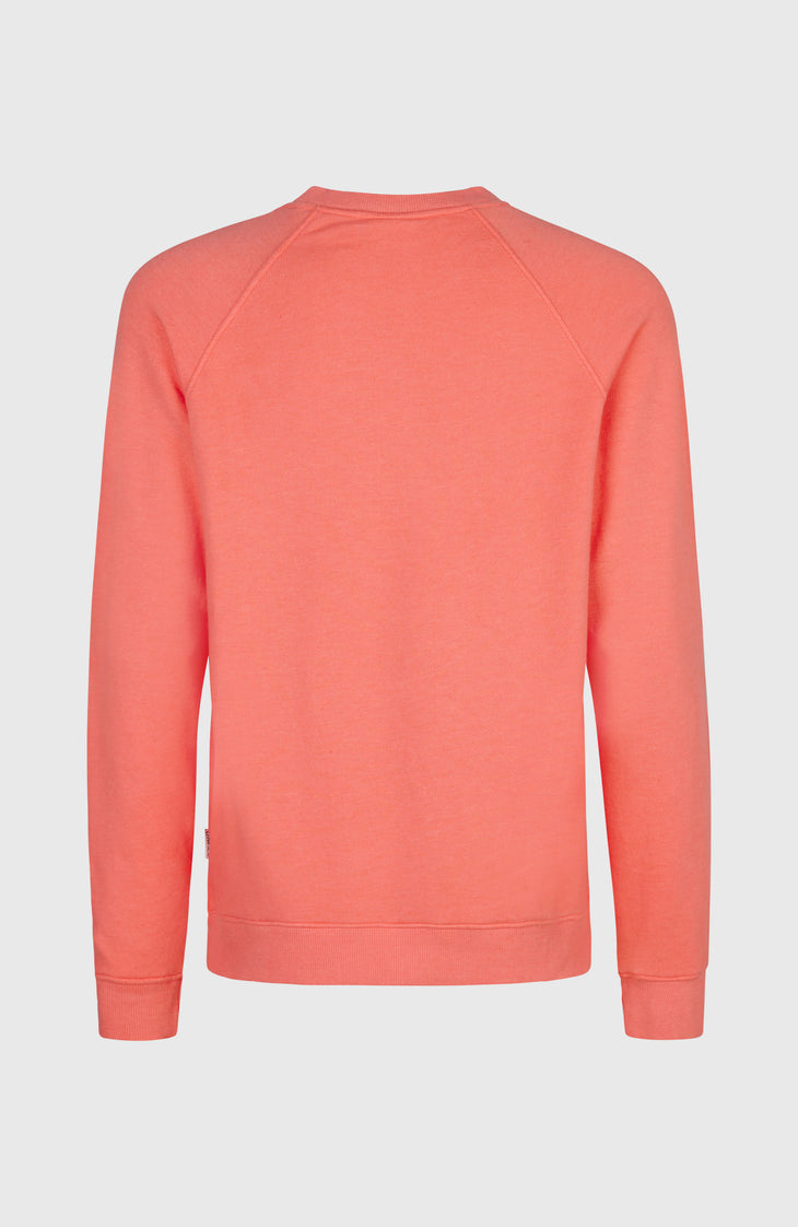 Pull à col rond O'Neill Beach Vintage | Rose Parade