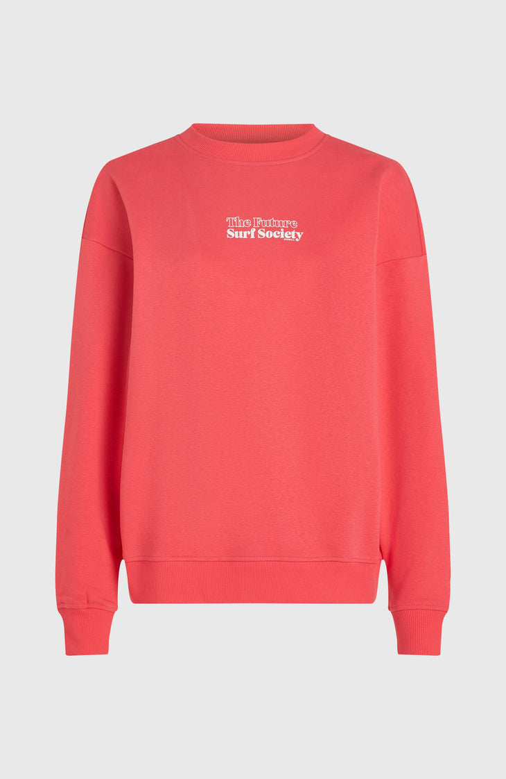 Sweatshirt Future Surf Crew | Froly