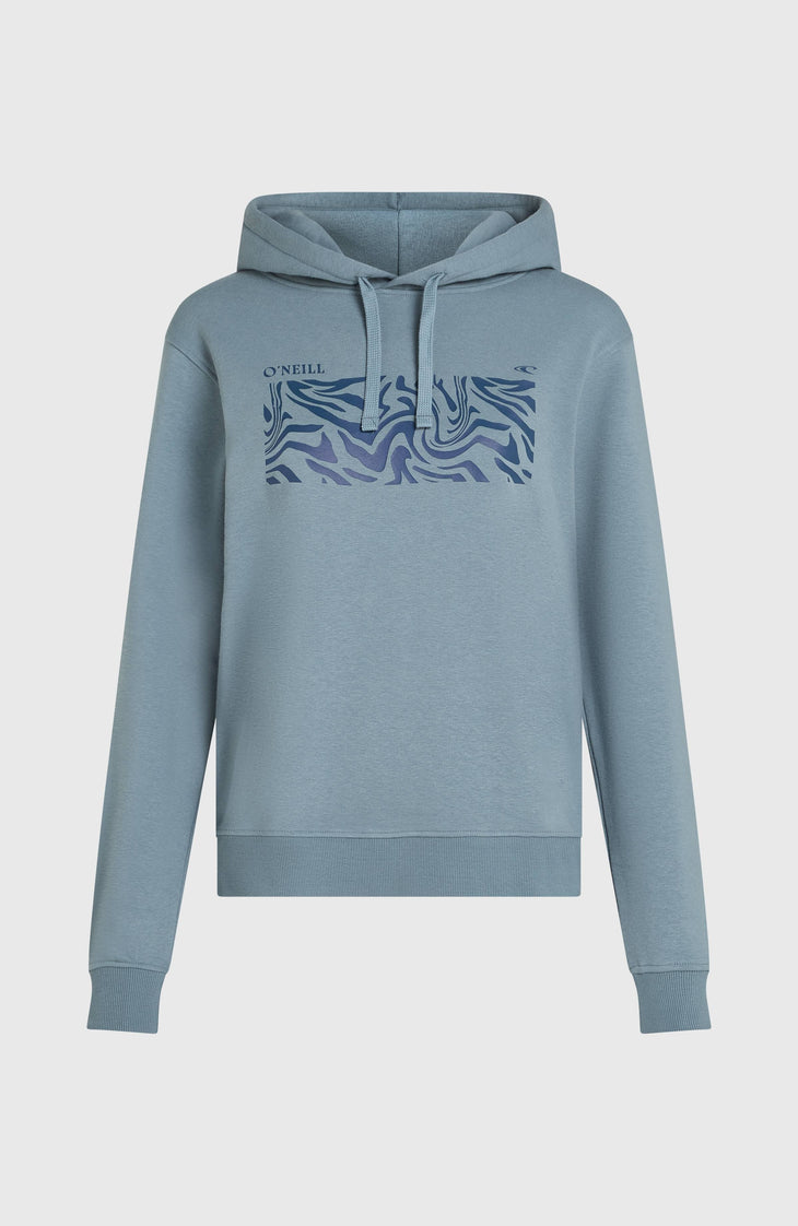 Sweat à capuche O'Neill Graphic | Murky Water