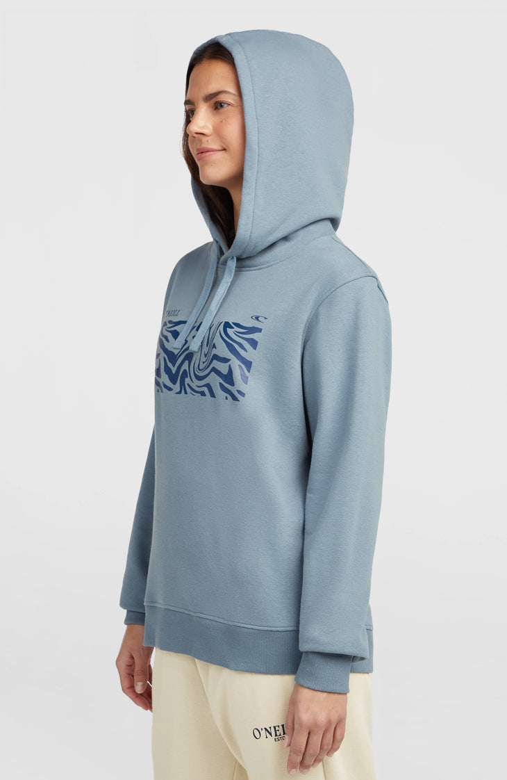 Sweat à capuche O'Neill Graphic | Murky Water