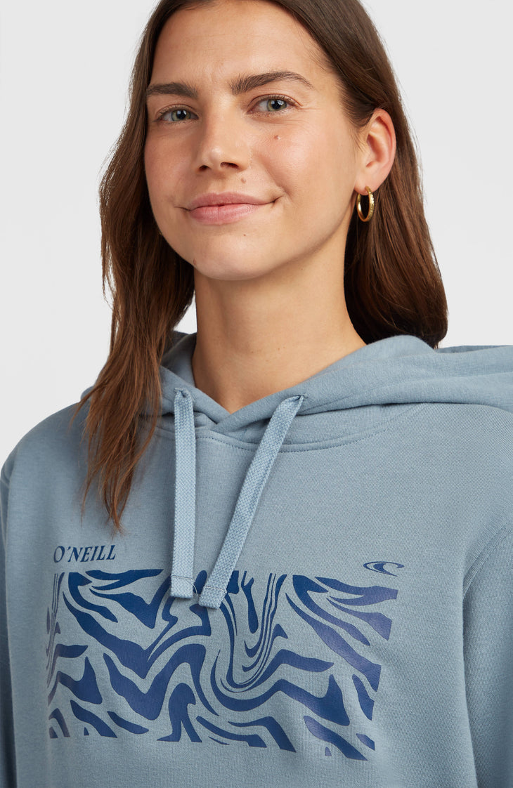 Sweat à capuche O'Neill Graphic | Murky Water
