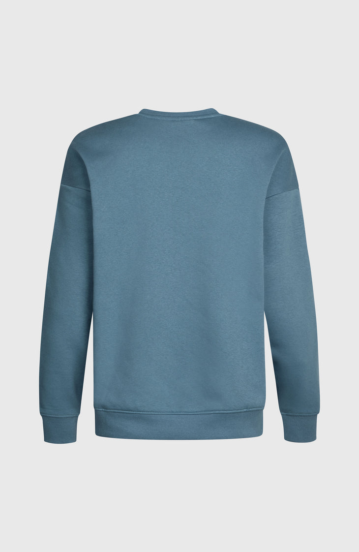 Sweatshirt Future Surf Crew | Mozart Blue