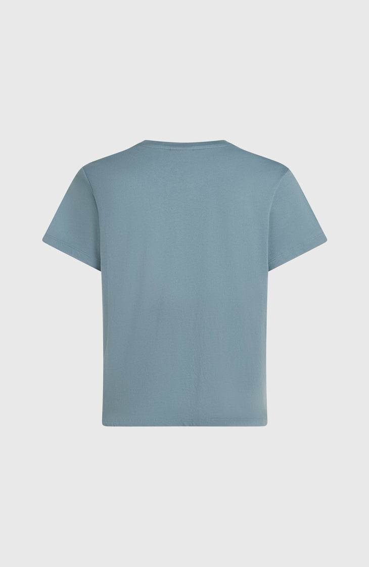 T-shirt O'Neill Graphic | Murky Water