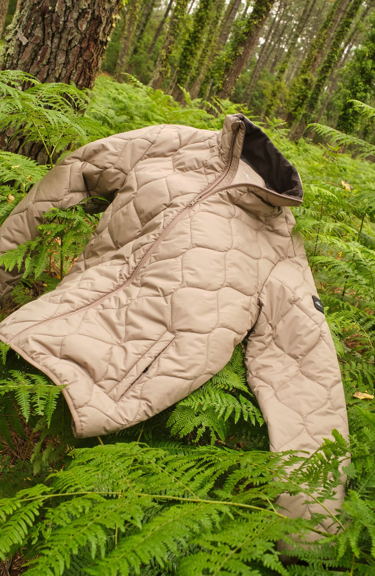 Parka 3-in-1 10K/10K | Concrete