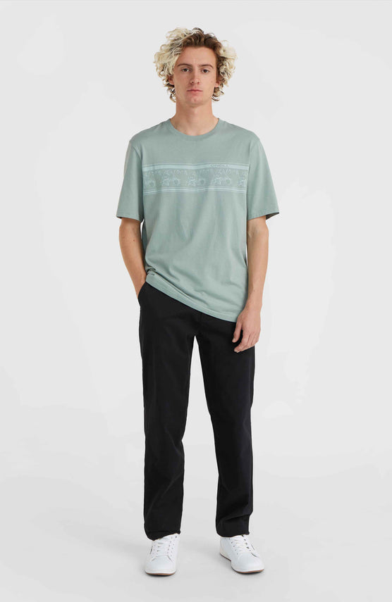 Pantalon chino Essentials | Raven