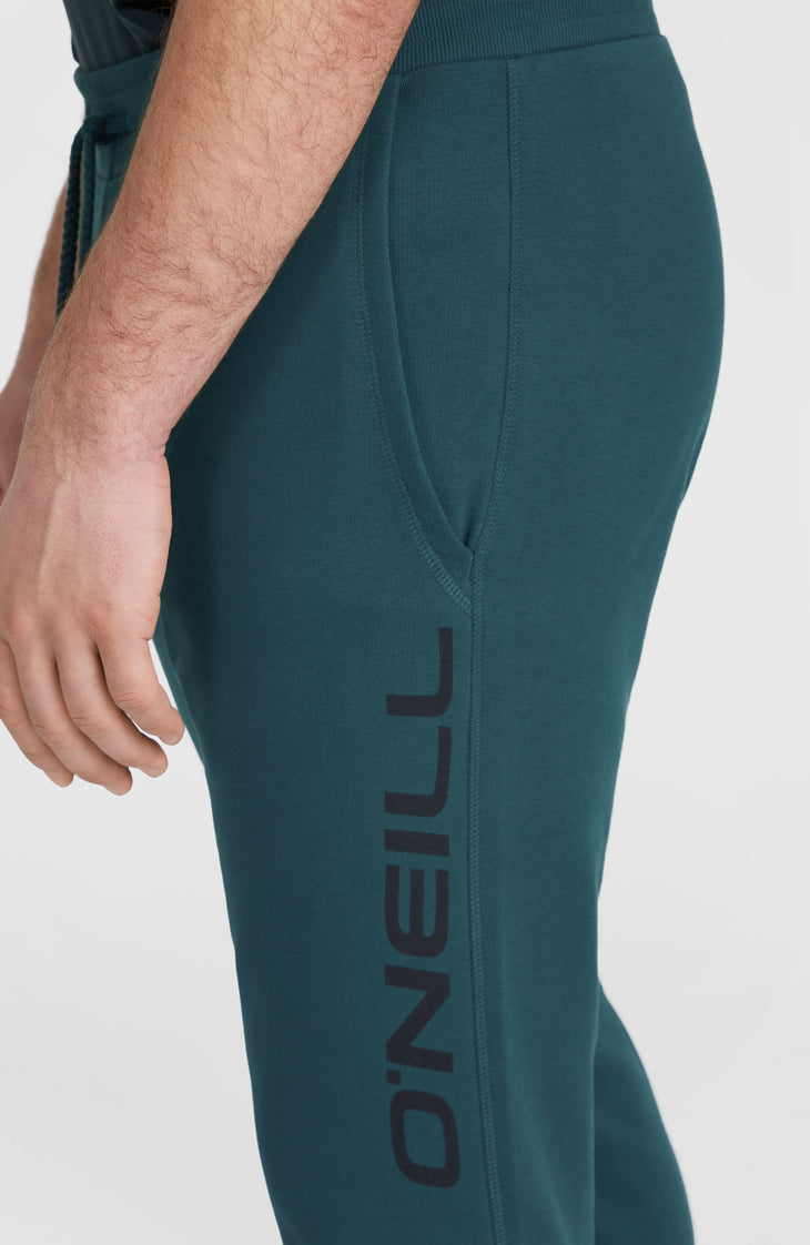 Pantalon de survêtement Logo | Alma Steel