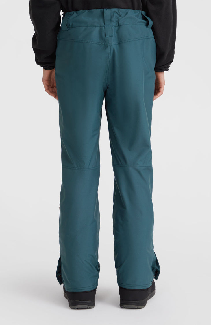 Pantalon de ski Hammer Regular | Alma Steel