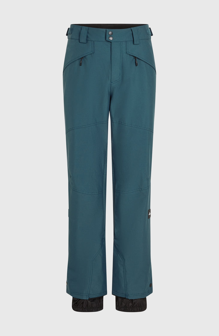 Pantalon de ski Hammer Regular | Alma Steel