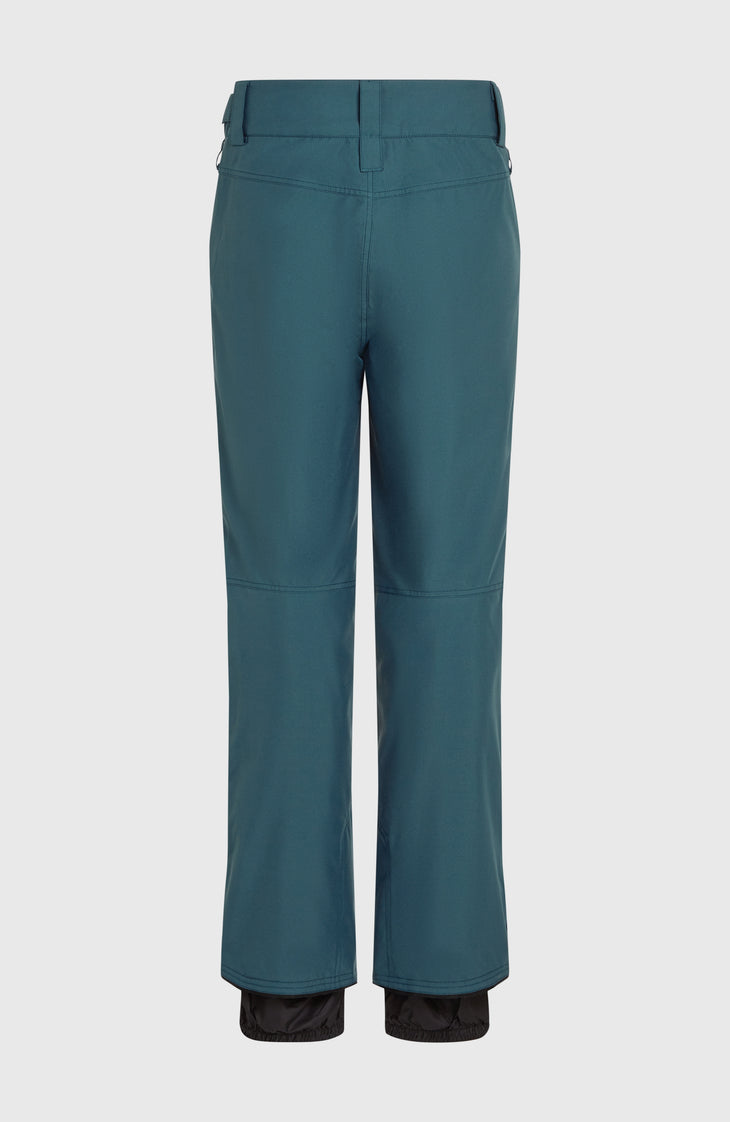 Pantalon de ski Hammer Regular | Alma Steel