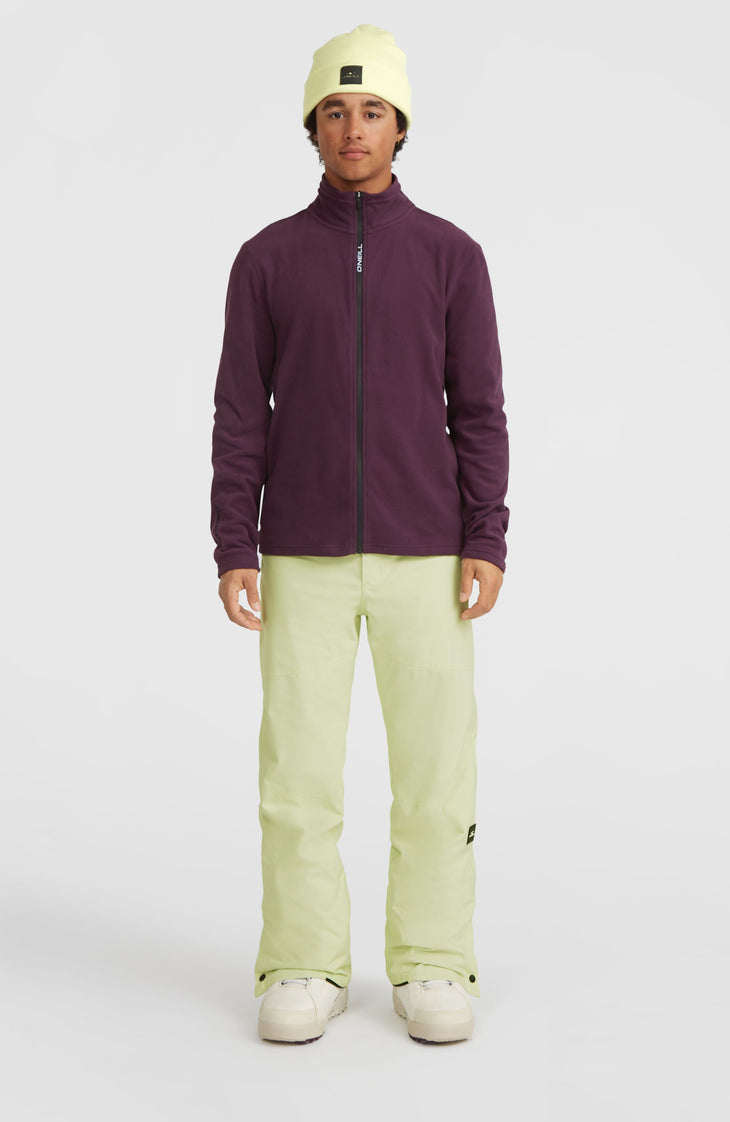 Pantalon de ski Hammer Regular | Lime Wash