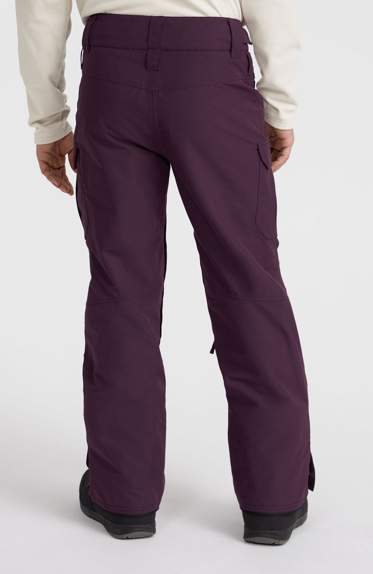 Pantalon de ski Utility Pro Regular | Aubergine