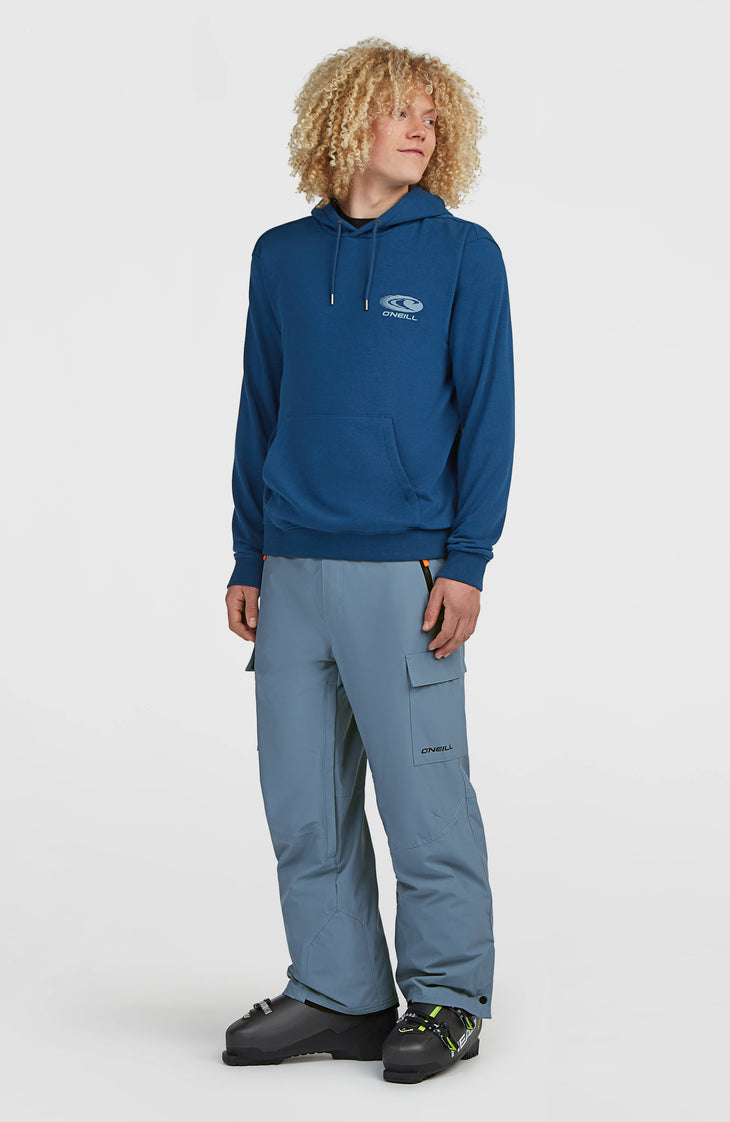 Pantalon de ski FWC'Cruz Cargo | Murky Water