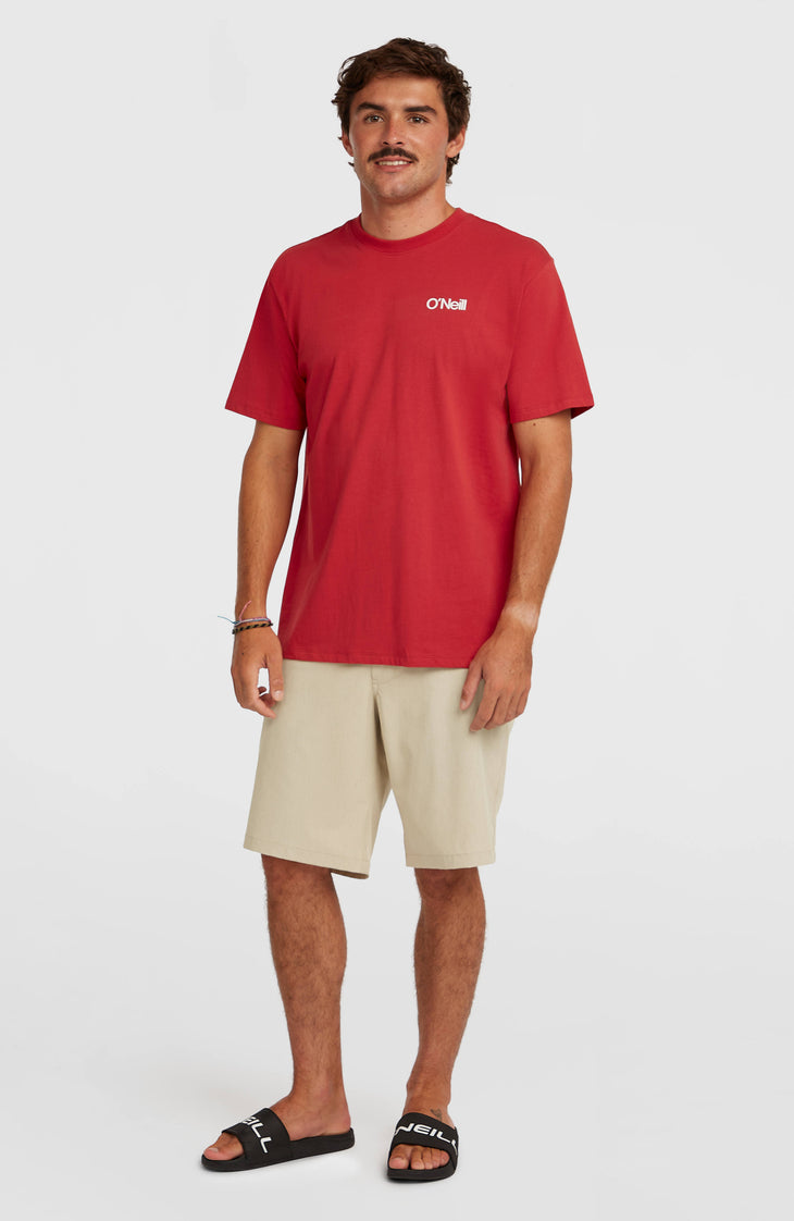 Shorts Hybrid 19'' Melange | Cocoa Sand