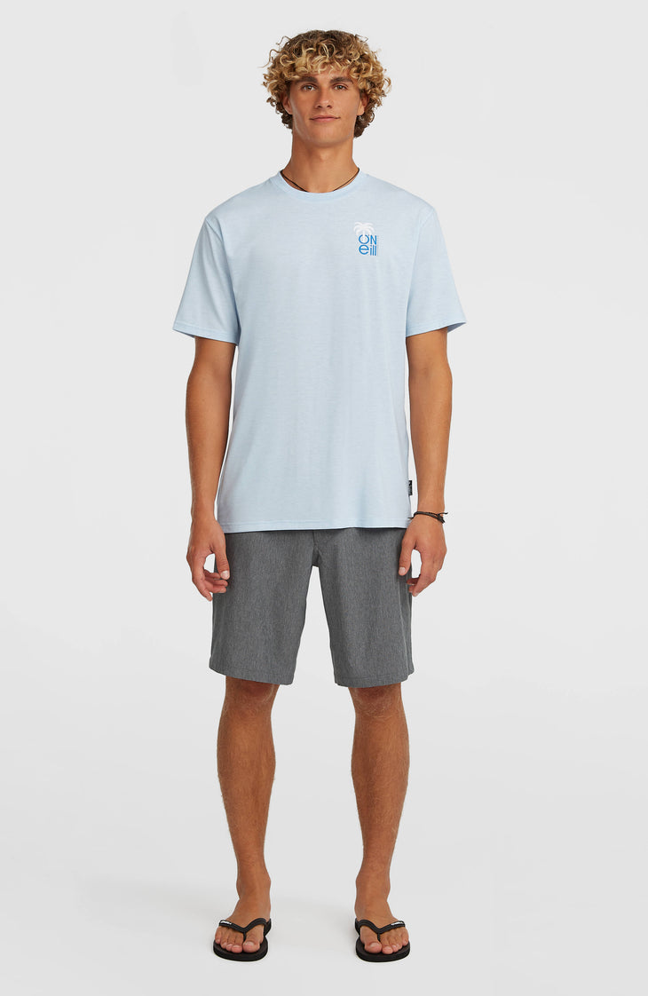 Shorts Hybrid 19'' Melange | Black Out