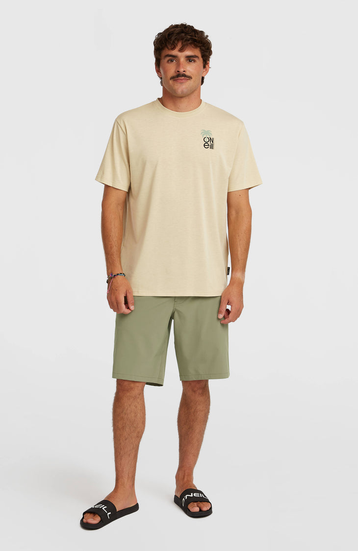 Shorts Hybrid 19" | Avery Fern