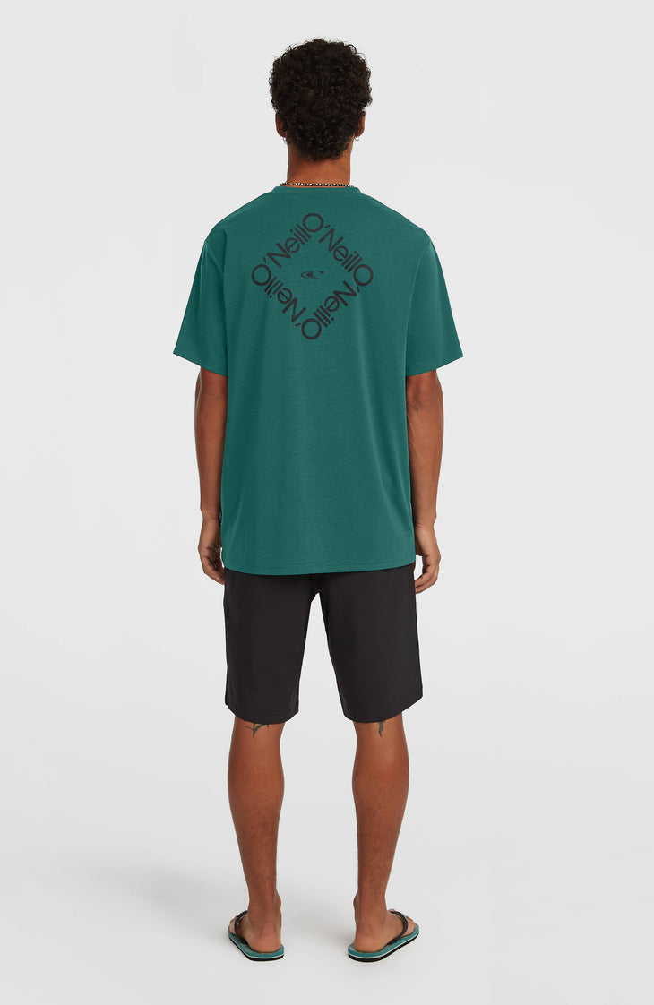 Shorts Hybrid 19" | Black Out