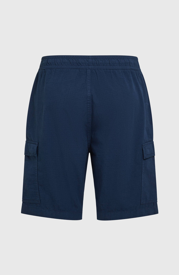 Short cargo O'Neill Essentials Ripstop | English Evening