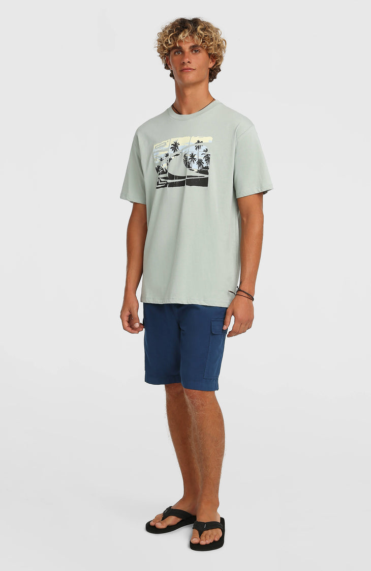 Short cargo O'Neill Essentials Ripstop | English Evening
