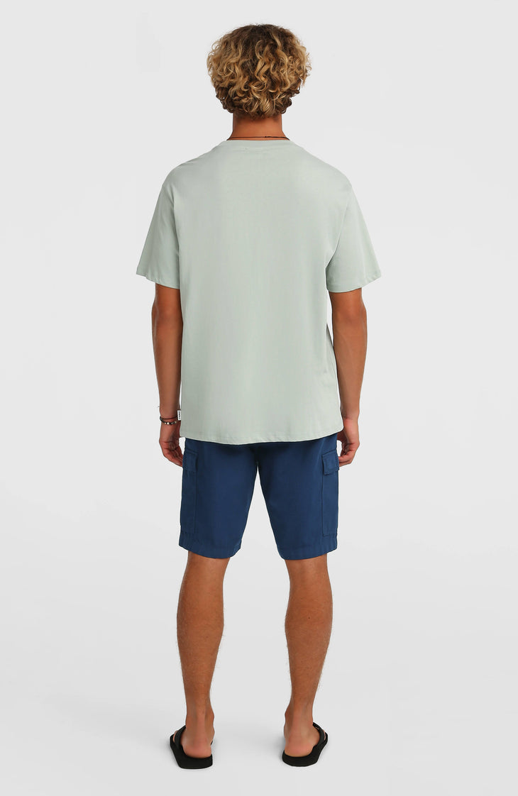 Short cargo O'Neill Essentials Ripstop | English Evening