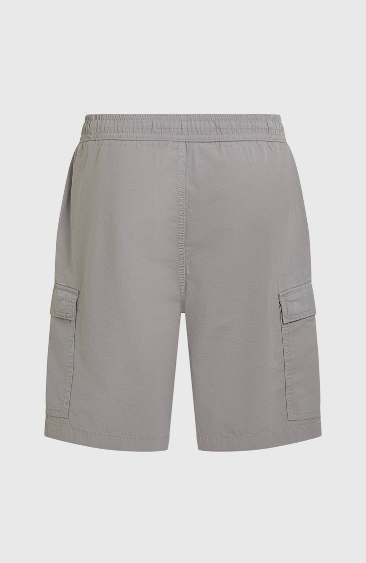 Short cargo O'Neill Essentials Ripstop | Brushed Aluminium