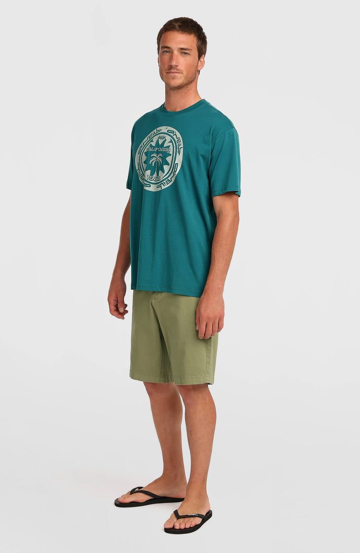 Short chino Essentials | Avery Fern