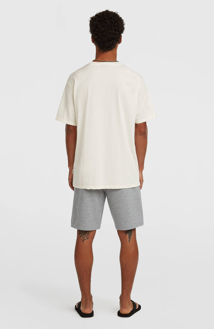 Short de survêtement O'Neill Small Logo | Silver Melee