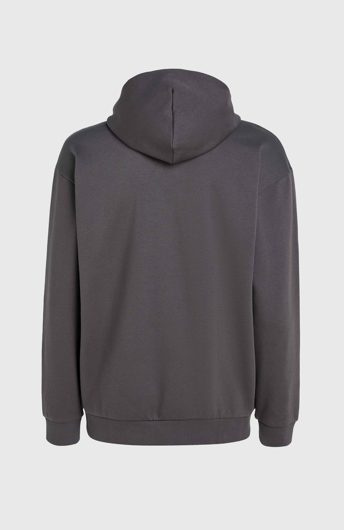 Sweat à capuche Future Surf Society | Raven