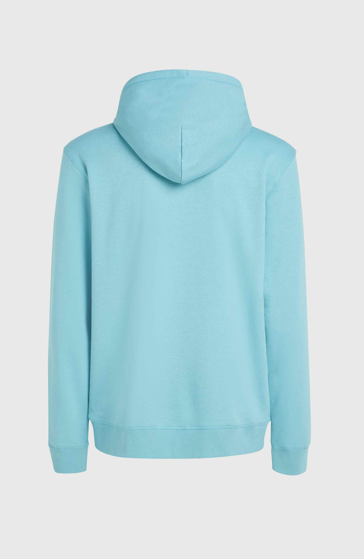 Sweat à capuche O'Neill Logo | Ripling Shores