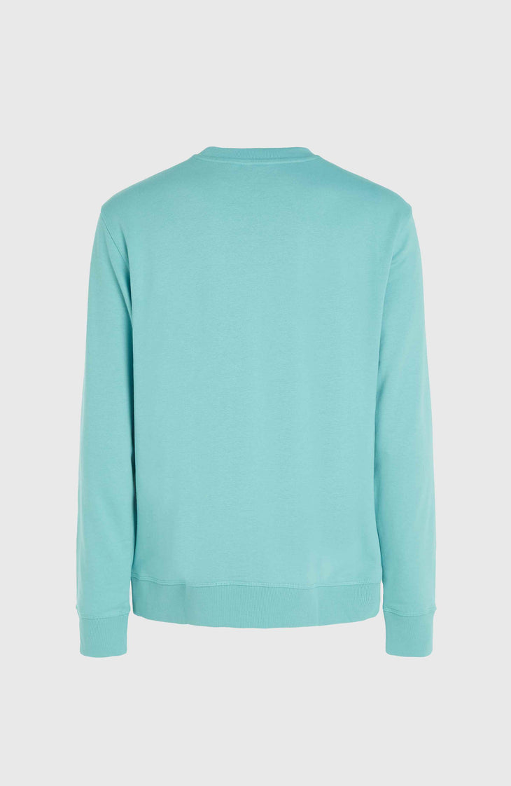 Sweatshirt à col rond O'Neill Logo | Ripling Shores