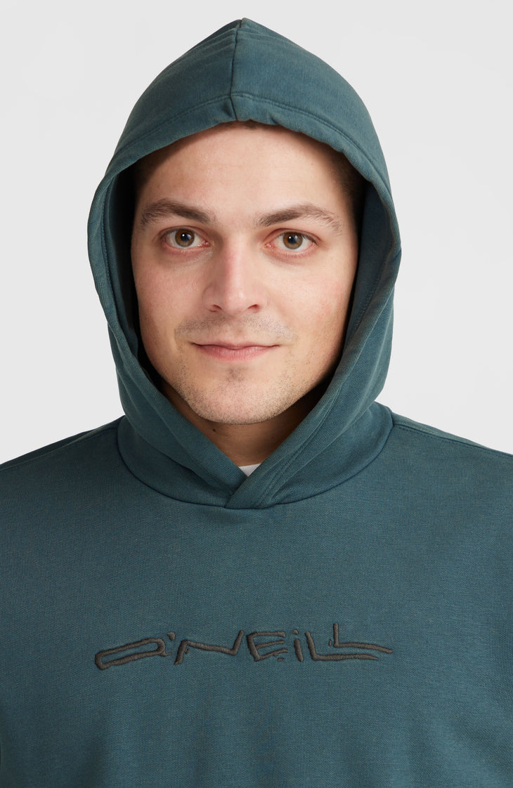 Sweat à capuche Surf Heroes | Alma Steel
