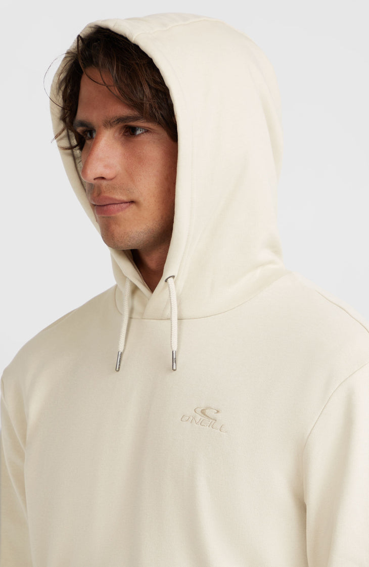 Sweat à capuche Small Logo | Atmosphere