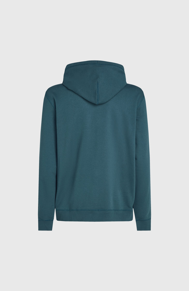 Sweat à capuche Logo | Alma Steel