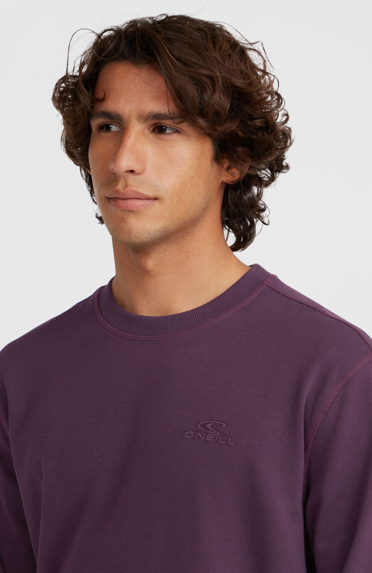 Sweatshirt à col rond Small Logo | Aubergine
