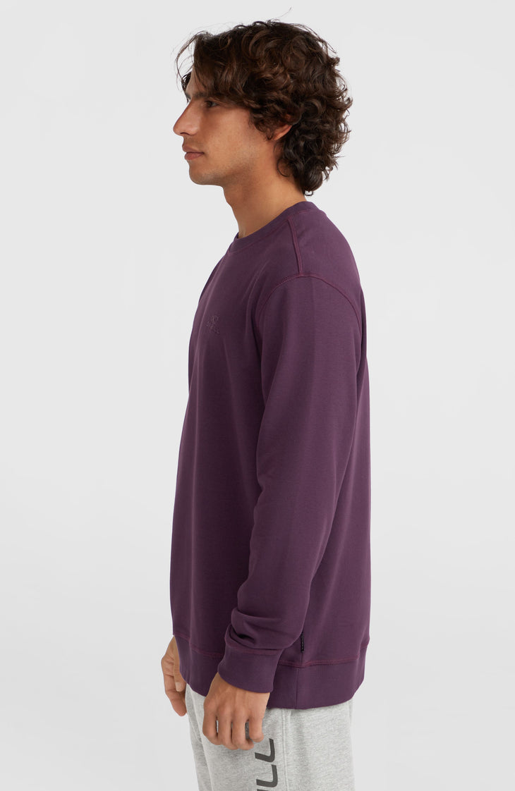 Sweatshirt à col rond Small Logo | Aubergine