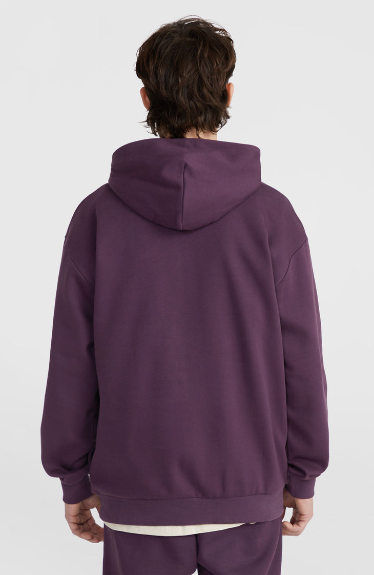 Sweat à capuche Future Surf Society | Aubergine