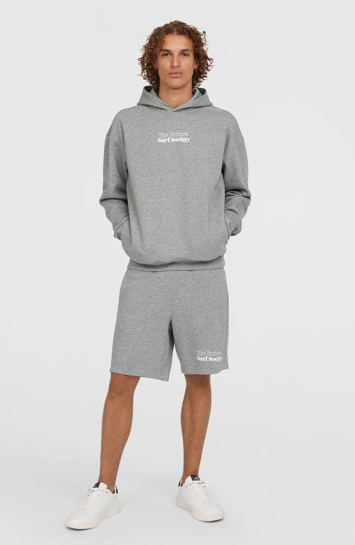 Sweat à capuche Future Surf Society | Silver Melee