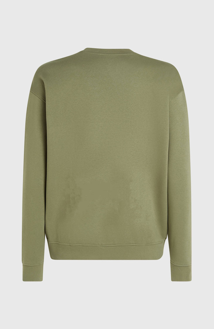 Sweatshirt Future Surf Crew | Avery Fern