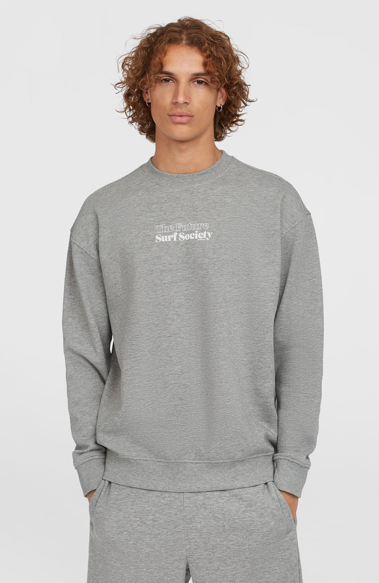 Sweatshirt Future Surf Crew | Silver Melee Sweatshirt Future Surf Crew | Silver Melee