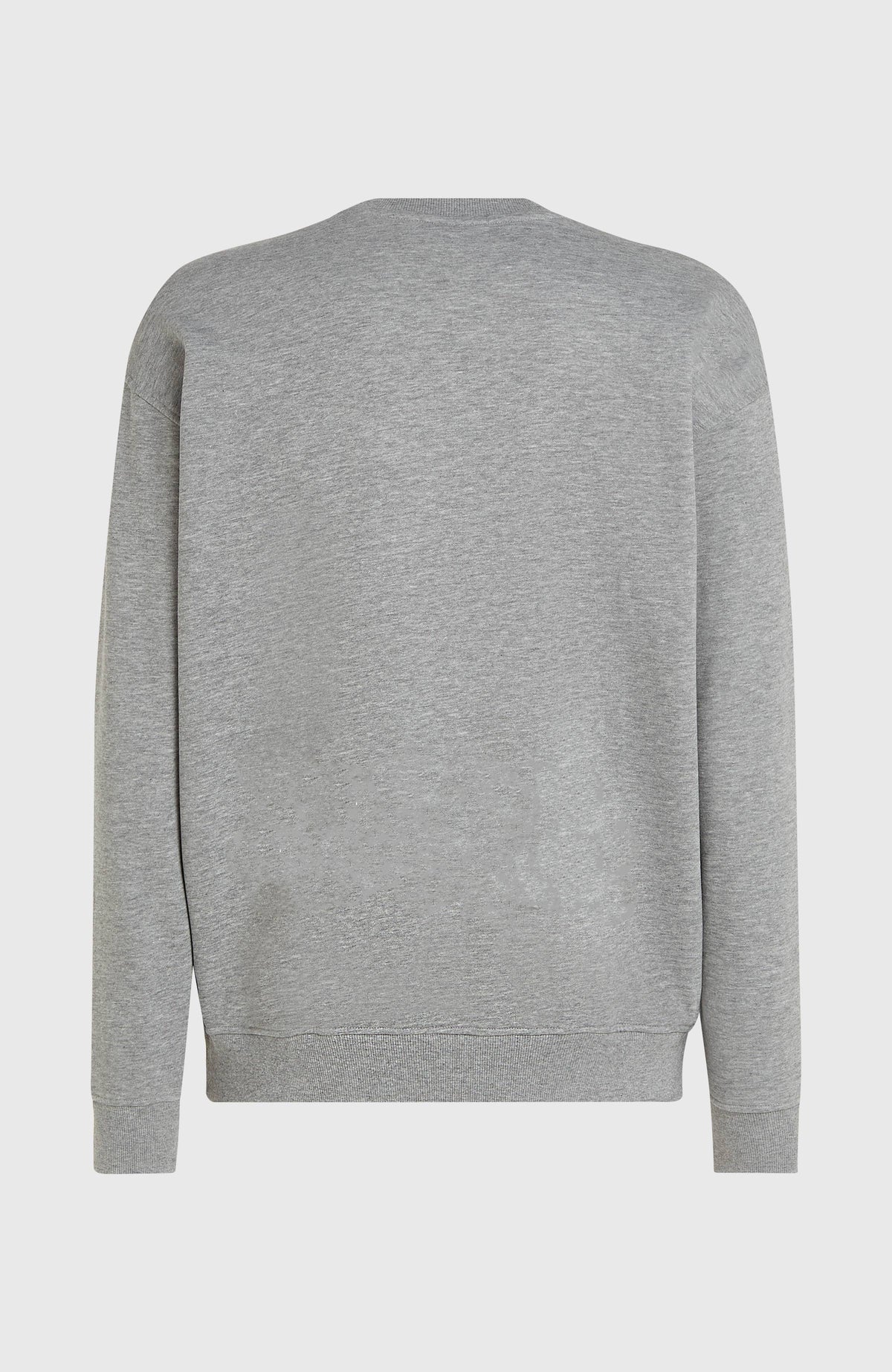 Sweatshirt Future Surf Crew | Silver Melee