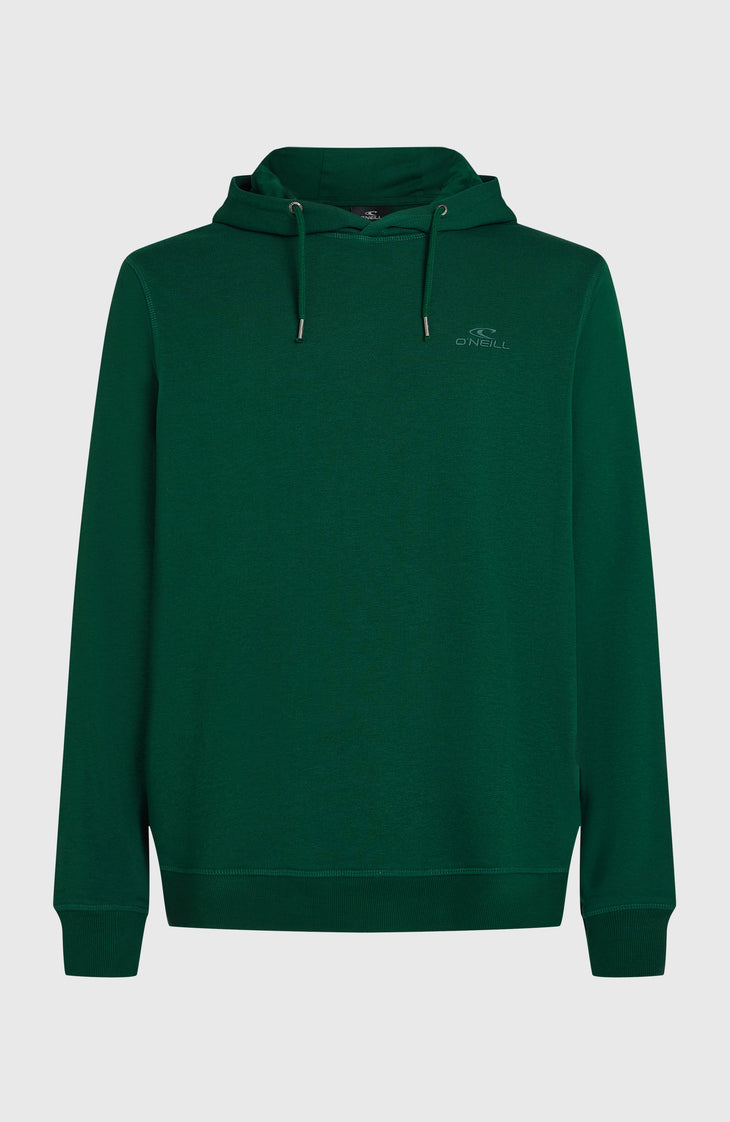 Sweat à capuche Small Logo | Emerald Envy