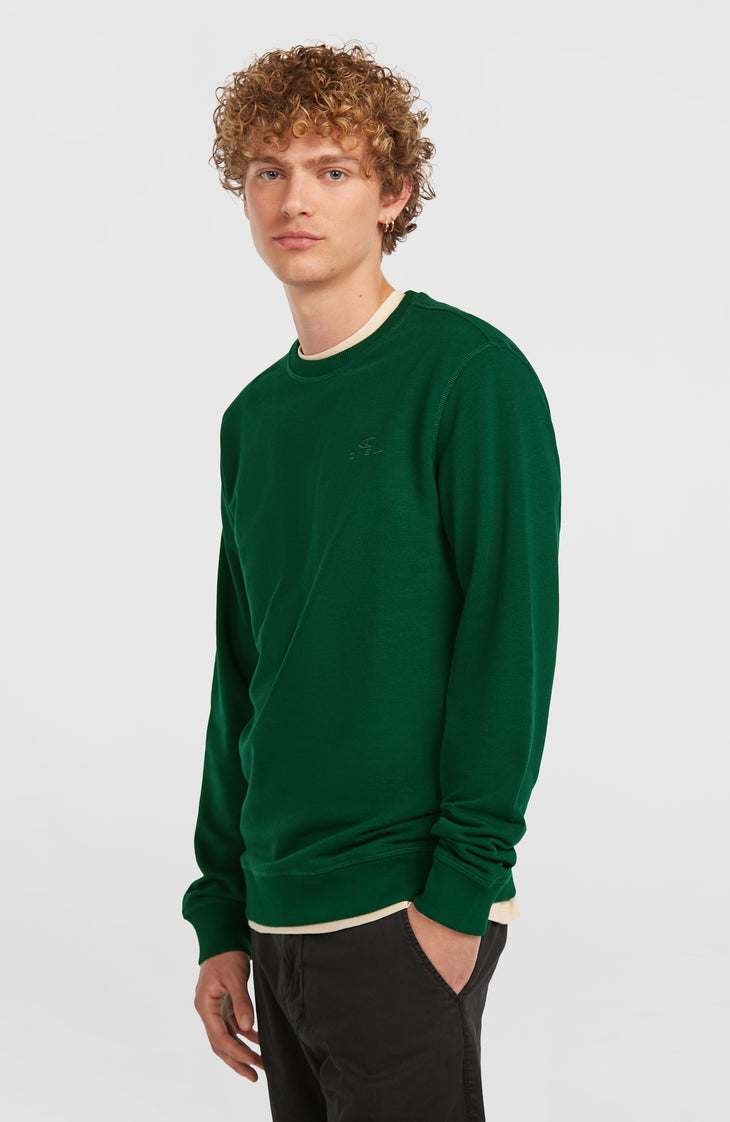 Sweatshirt à col rond Small Logo | Emerald Envy