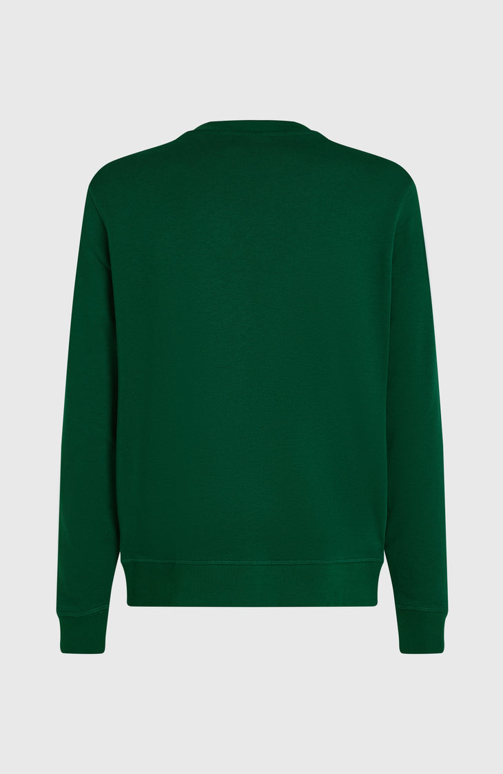 Sweatshirt à col rond Small Logo | Emerald Envy