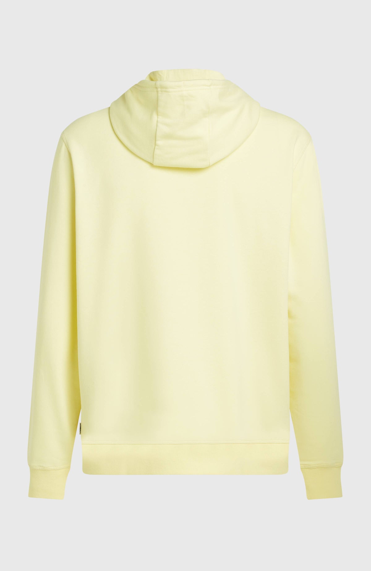 Sweat à capuche O'Neill Must-Have Graphic | Rainforest Dew