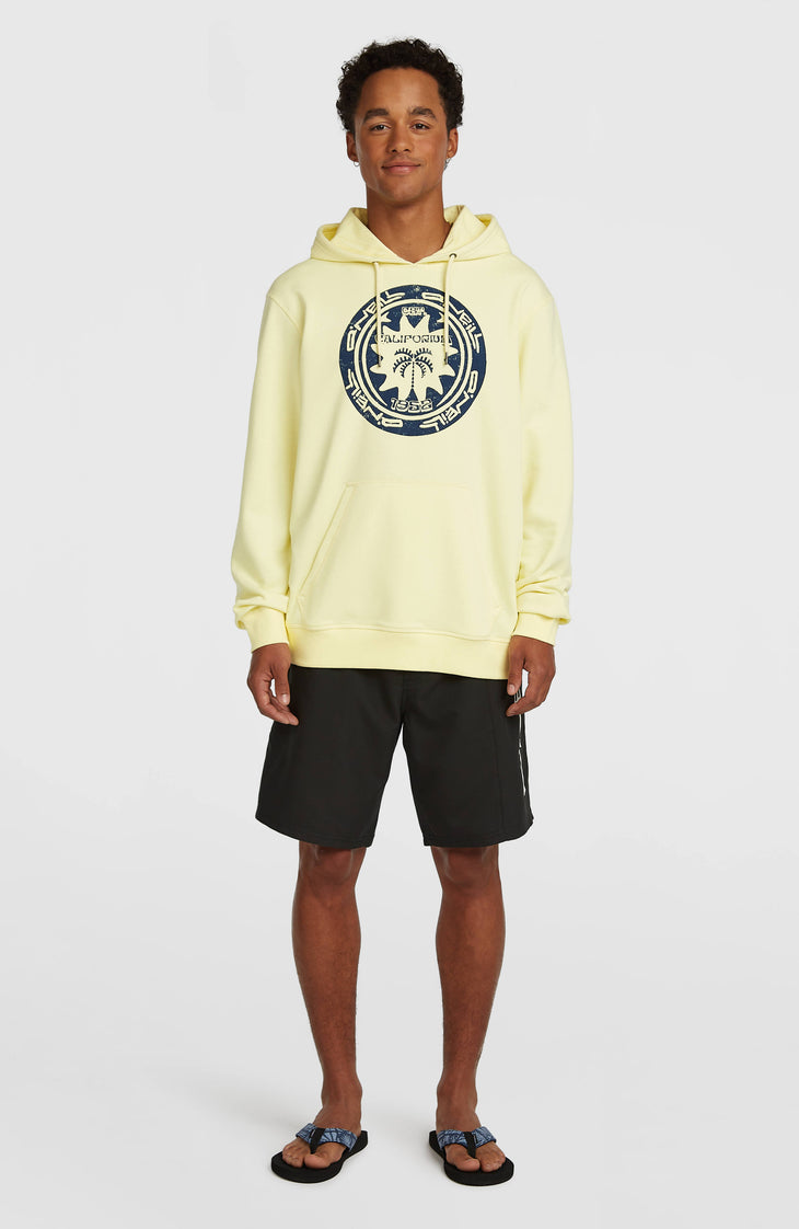 Sweat à capuche O'Neill Must-Have Graphic | Rainforest Dew