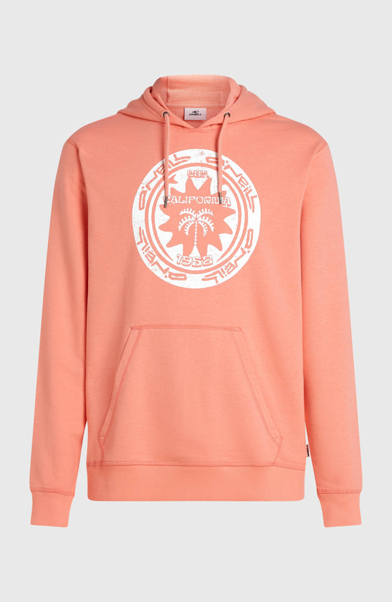 Sweat à capuche O'Neill Must-Have Graphic | Funky Peach