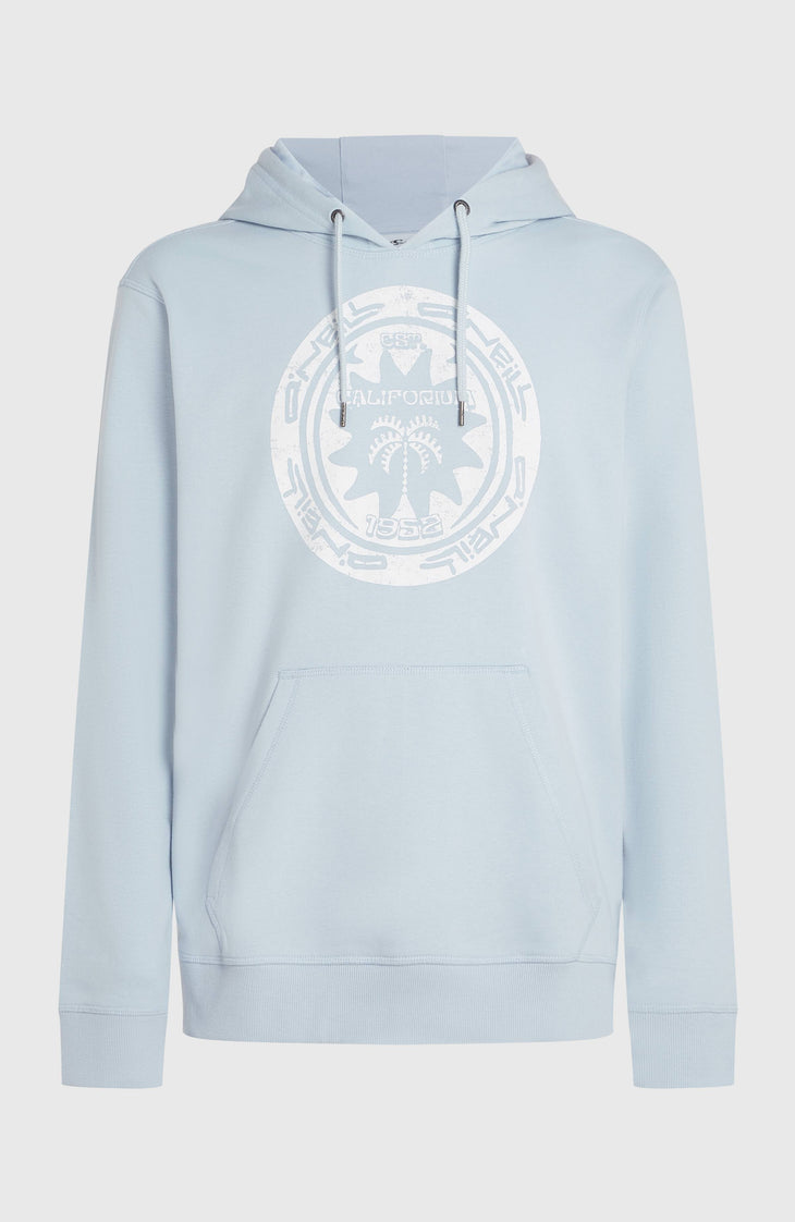 Sweat à capuche O'Neill Must-Have Graphic | Spindle