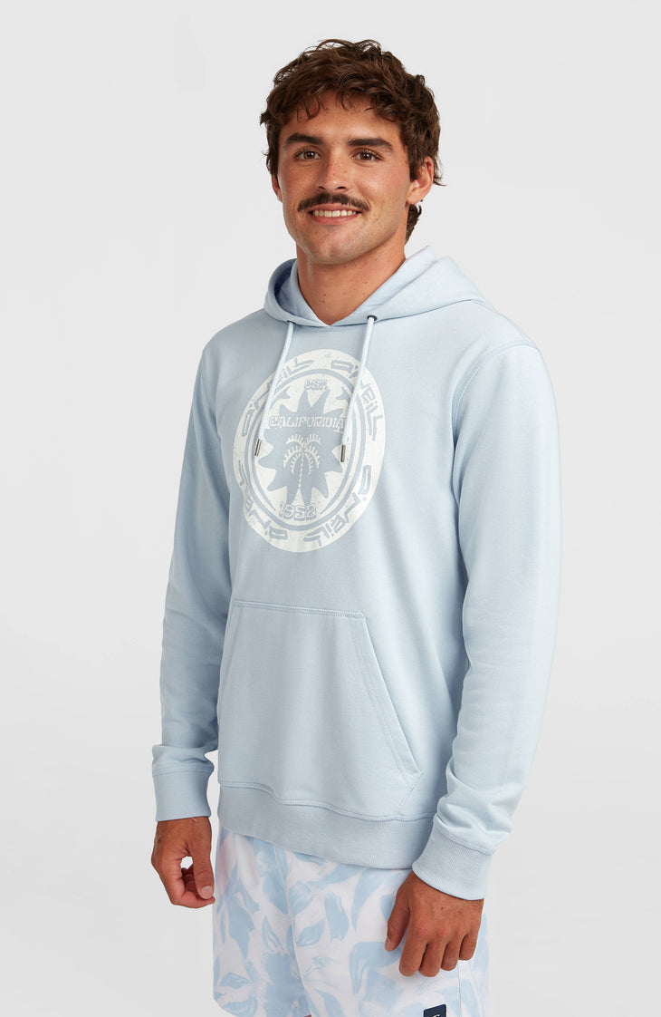 Sweat à capuche O'Neill Must-Have Graphic | Spindle